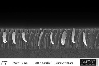 SiO2 photonic crystals etched by ICP