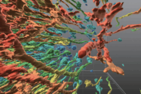 Deep Tissue Imaging, High-resolution, Tunable Laser (1)