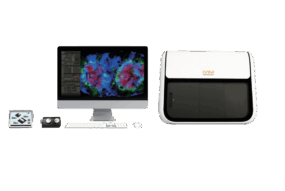 IVM-C3 (Confocal v. 3) (1)