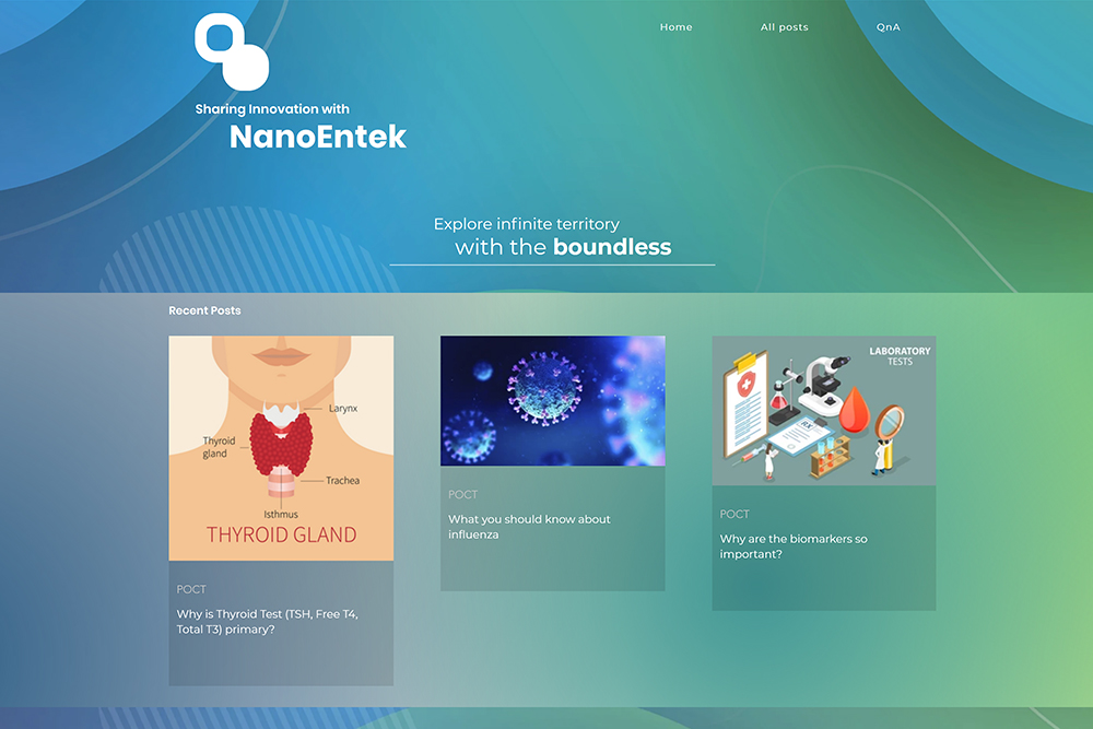 NanoEntek blog