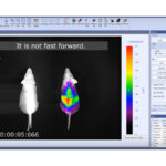Система визуализации люминесценции In Vivo LUCI