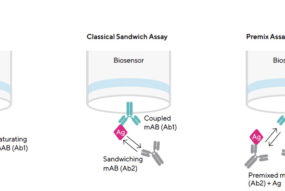 Epitope Binning on the Octet® BLI System